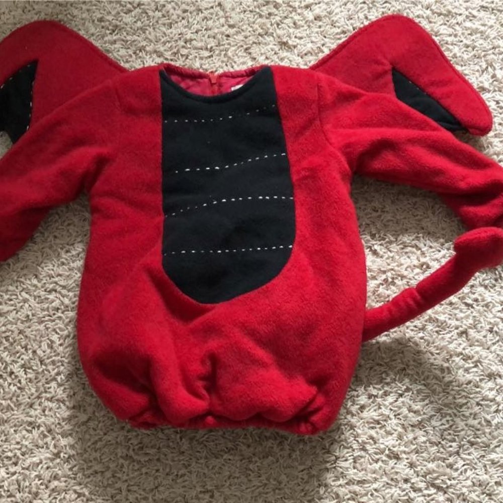 Pottery Barn Kids Devil Costume 2T/3T